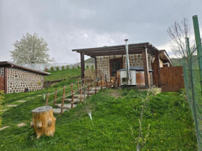 Velvet & Vanilla House la Vama Aniral